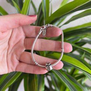 Pandora Silver Charm Bracelet with Money Bag Charm